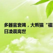 多器官衰竭,大熊猫“福茹”16日凌晨离世