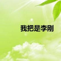 我把是李刚