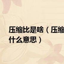 压缩比是啥（压缩比是什么意思）