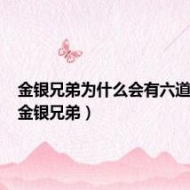 金银兄弟为什么会有六道血统(金银兄弟)