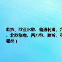 貂熊、欧亚水獭、普通刺猬、穴兔、黇鹿、北欧驯鹿、西方狍、臆羚、亚洲胡狼(貂熊)