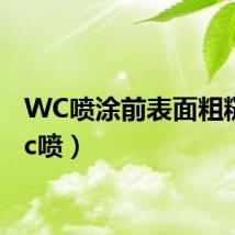 WC喷涂前表面粗糙（wc喷）