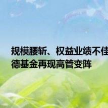 规模腰斩、权益业绩不佳 贝莱德基金再现高管变阵