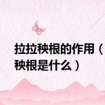 拉拉秧根的作用（拉拉秧根是什么）
