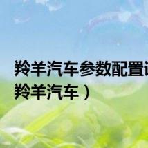 羚羊汽车参数配置详解（羚羊汽车）