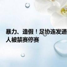 暴力、造假!足协连发通报:多人被禁赛停赛