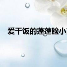 爱干饭的蓬蓬脸小熊