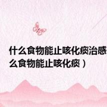 什么食物能止咳化痰治感冒(什么食物能止咳化痰)