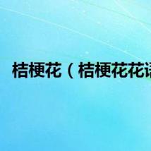 桔梗花（桔梗花花语）