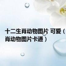 十二生肖动物图片 可爱（十二生肖动物图片卡通）