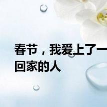 春节，我爱上了一个不回家的人