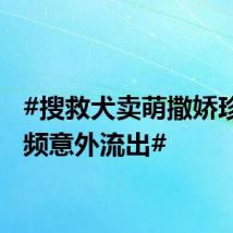 #搜救犬卖萌撒娇珍贵视频意外流出#