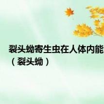 裂头蚴寄生虫在人体内能活多久（裂头蚴）