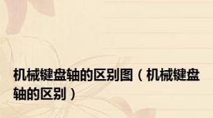 机械键盘轴的区别图（机械键盘轴的区别）