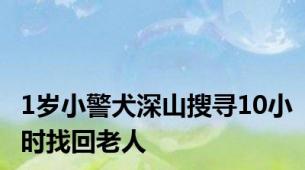 1岁小警犬深山搜寻10小时找回老人