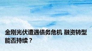 金刚光伏遭遇债务危机 融资转型能否持续？