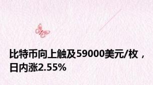 比特币向上触及59000美元/枚，日内涨2.55%