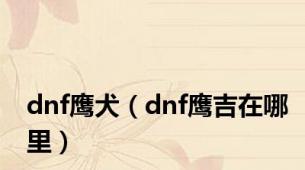 dnf鹰犬（dnf鹰吉在哪里）