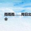 雨雨雨……周日出门带伞