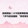 新闻调查丨大鸟筑巢导致电网跳闸？护鸟使者建起 “铁塔家园”