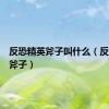 反恐精英斧子叫什么（反恐精英斧子）