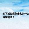 地下城蝴蝶剑全名叫什么（dnf蝴蝶辅助）