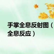 手掌全息反射图（手掌全息反应）