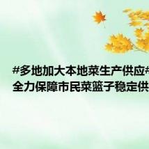 #多地加大本地菜生产供应##各地全力保障市民菜篮子稳定供应#