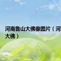 河南鲁山大佛像图片（河南鲁山大佛）