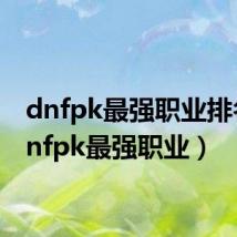 dnfpk最强职业排名(dnfpk最强职业)
