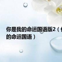 你是我的命运国语版2(你是我的命运国语)