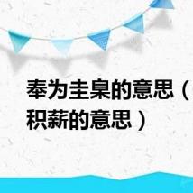 奉为圭臬的意思（厝火积薪的意思）