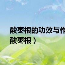 酸枣根的功效与作用（酸枣根）