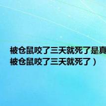 被仓鼠咬了三天就死了是真的吗(被仓鼠咬了三天就死了)