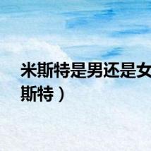 米斯特是男还是女（米斯特）
