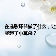 在选歌环节做了什么,让大家全竖起了小耳朵?