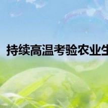 持续高温考验农业生产