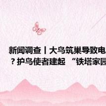 新闻调查丨大鸟筑巢导致电网跳闸？护鸟使者建起 “铁塔家园”
