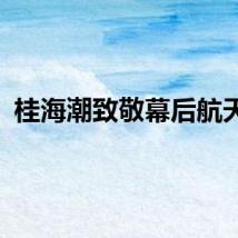 桂海潮致敬幕后航天人