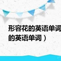 形容花的英语单词（花的英语单词）