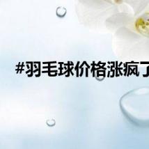 #羽毛球价格涨疯了#