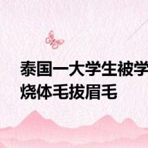 泰国一大学生被学长火烧体毛拔眉毛