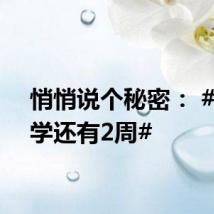 悄悄说个秘密: #距开学还有2周#
