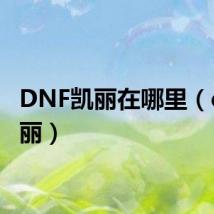 DNF凯丽在哪里（dnf凯丽）