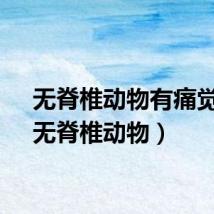 无脊椎动物有痛觉吗（无脊椎动物）