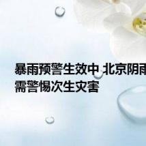 暴雨预警生效中 北京阴雨在线 需警惕次生灾害
