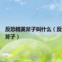 反恐精英斧子叫什么（反恐精英斧子）