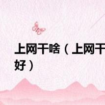 上网干啥（上网干什么好）