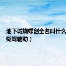 地下城蝴蝶剑全名叫什么（dnf蝴蝶辅助）