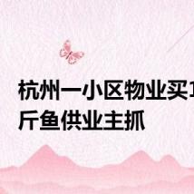 杭州一小区物业买100多斤鱼供业主抓